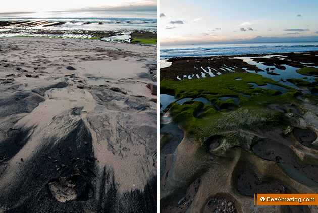 Greeny musty textured beach