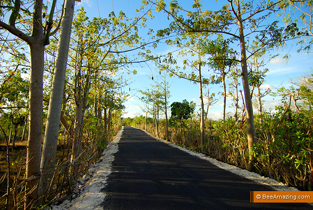 The 'cotton field back hommme..' road :)