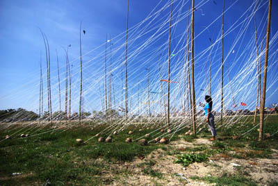 Blossoming in the dark sky - The Blue Below, art exhbition by Yani M Sastranegara, Jakarta