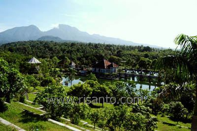 The majestic Mount Agung