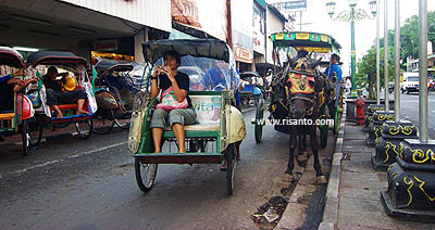 Bee on becak