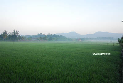 Green..green mountanic view in Negara