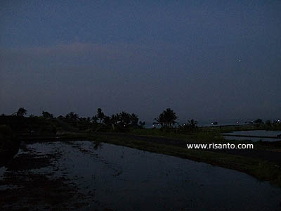 early morning in Negara