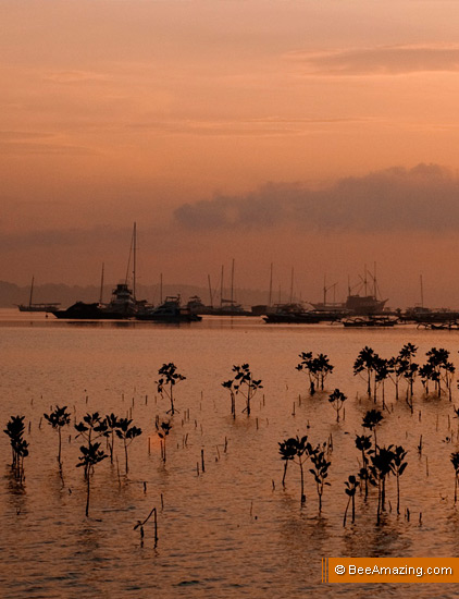 Serangan Island Mangrove, Bali