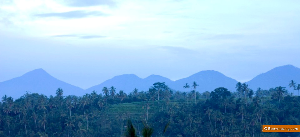 3 Things in Ubud, Bali I Love